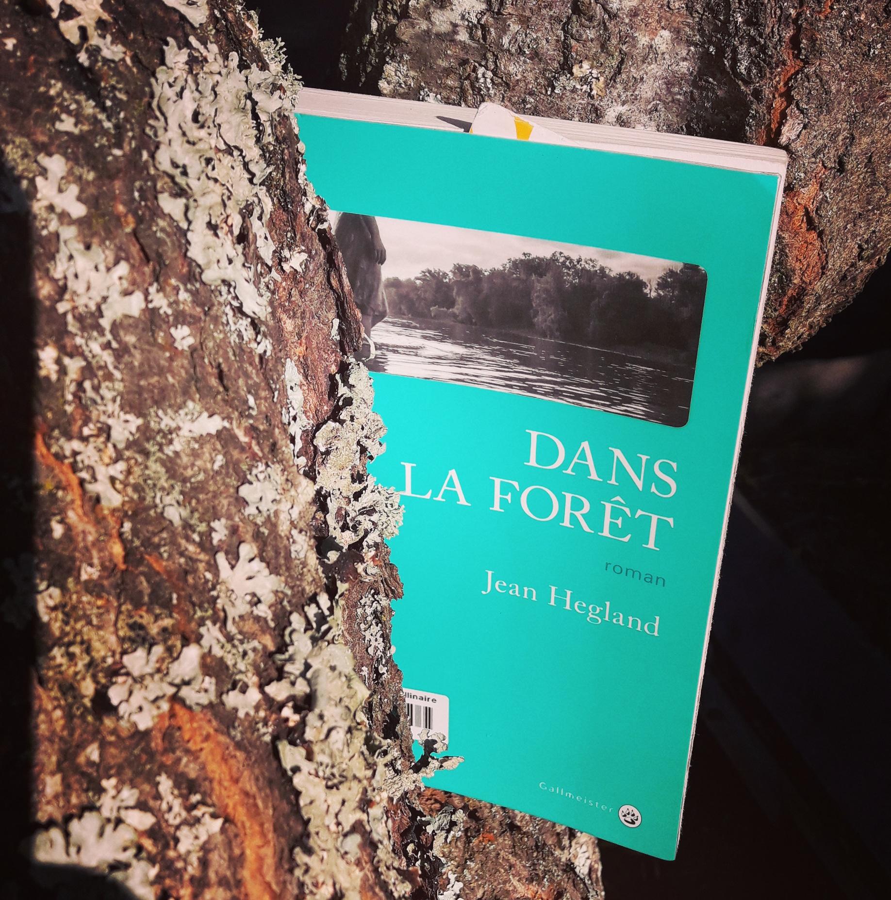 Dans la forêt 🌳 Jean Hegland - Critique livre