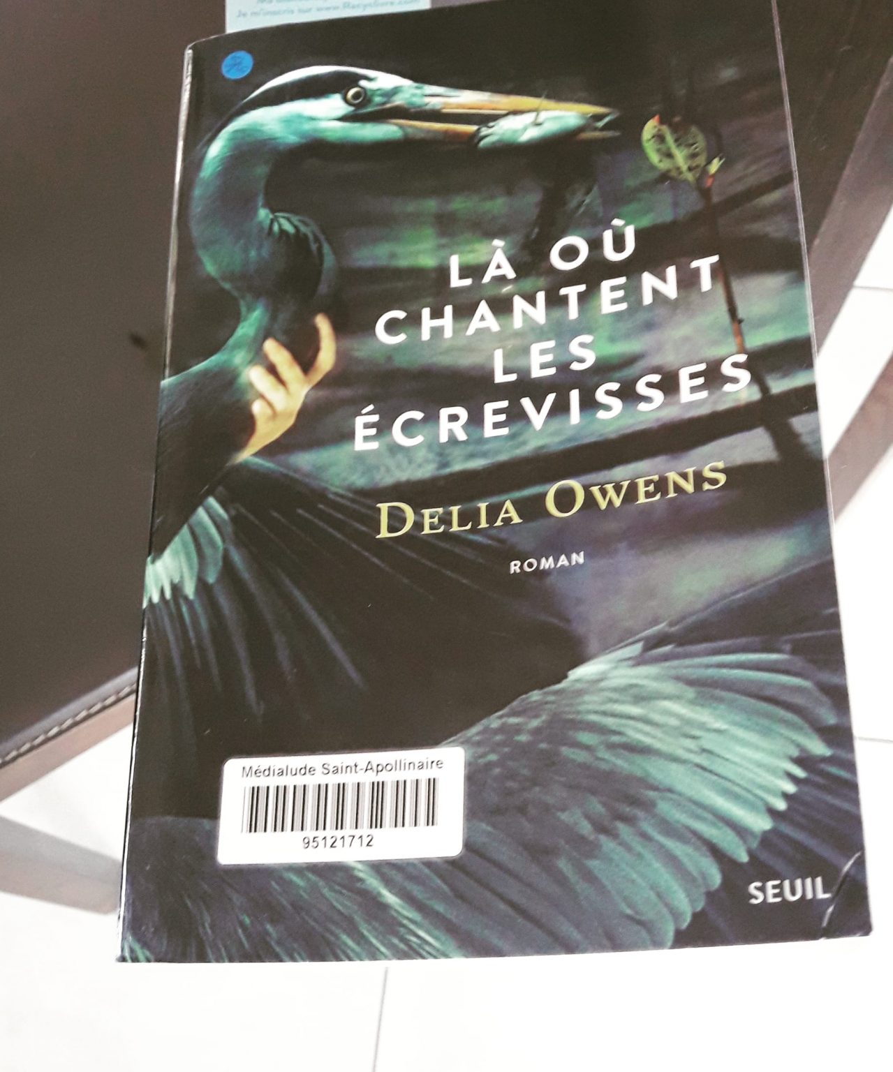 Horaires Des Séances Du Film Là Où Chantent Les écrevisses Là où chantent les écrevisses de Delia Owens - Recettes et Récits